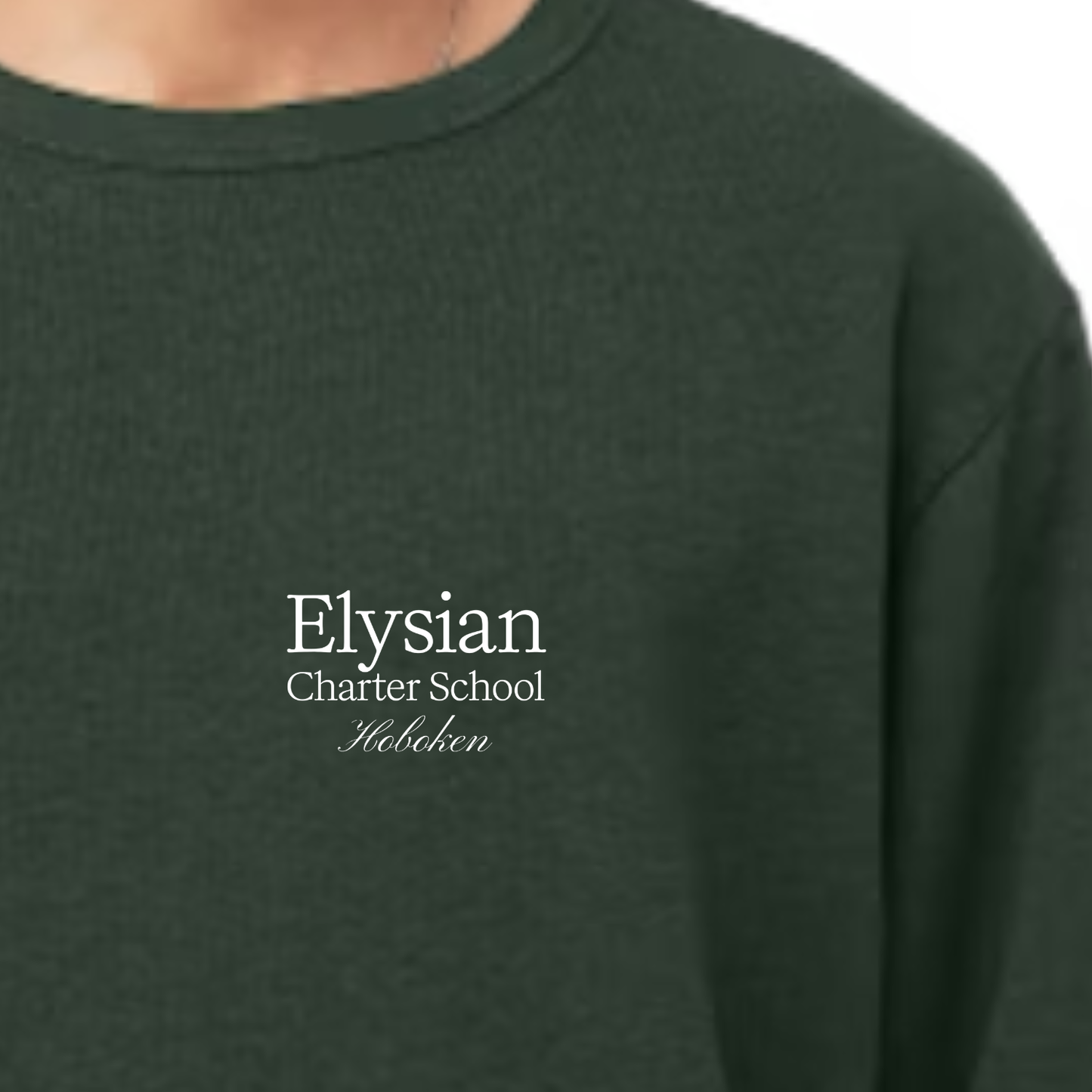 Adult Bella + Canvas Positively Different Unisex Crewneck