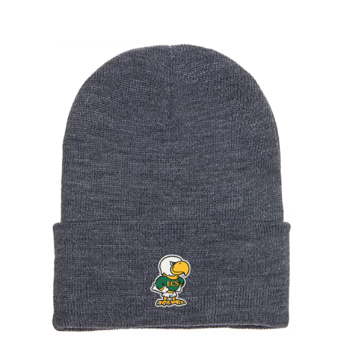 Classic Cuffed Beanie with Silicone Patch