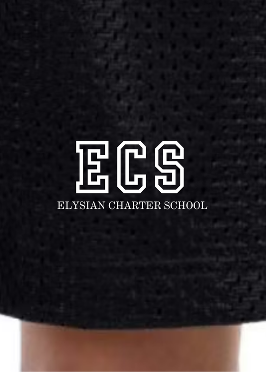 Youth ECS Mesh Shorts