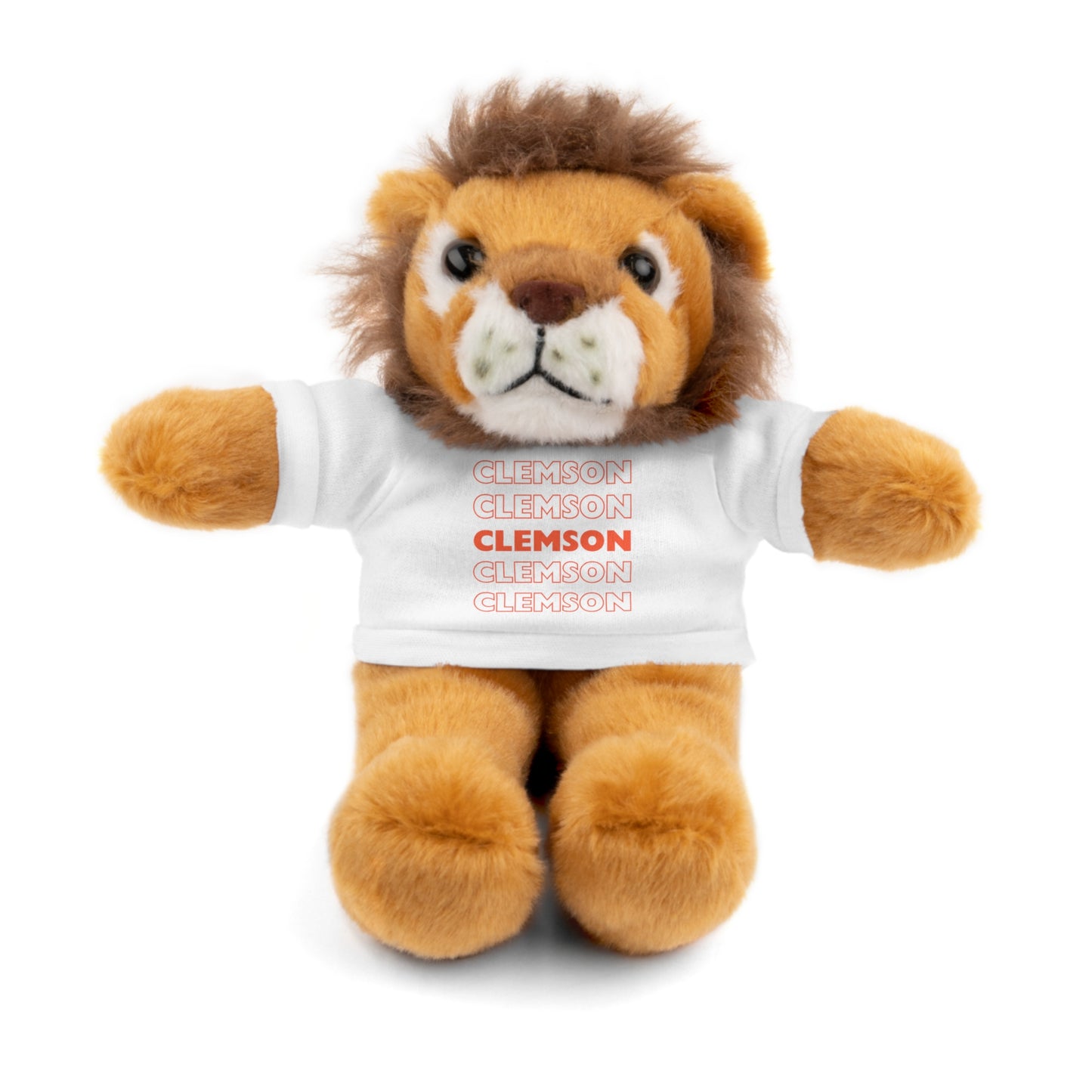 Custom Teddy Bear | College Acceptance Gift | Custom College Gift | Bed Party Gifts | Graduation Gift | Custom Teddy Bear