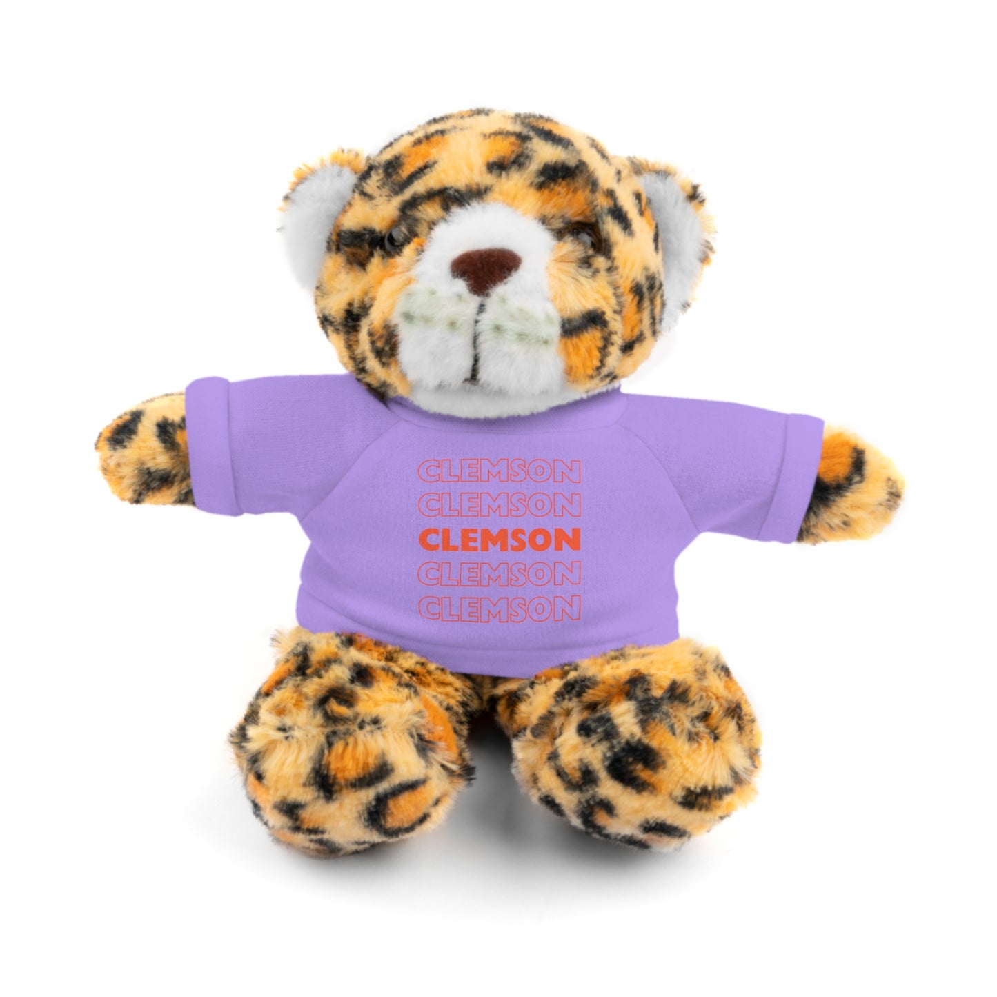 Custom Teddy Bear | College Acceptance Gift | Custom College Gift | Bed Party Gifts | Graduation Gift | Custom Teddy Bear