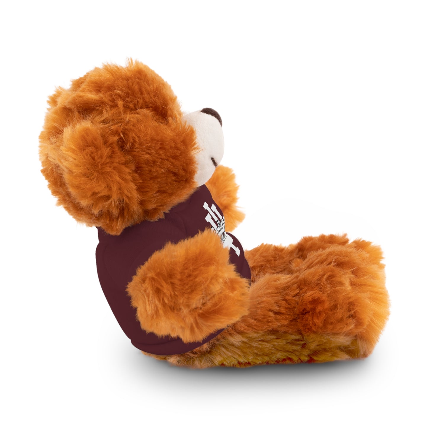 Custom College Teddy Bear | College Acceptance Gift | Custom College Gift | Bed Party Gifts | Graduation Gift | Custom Teddy Bear
