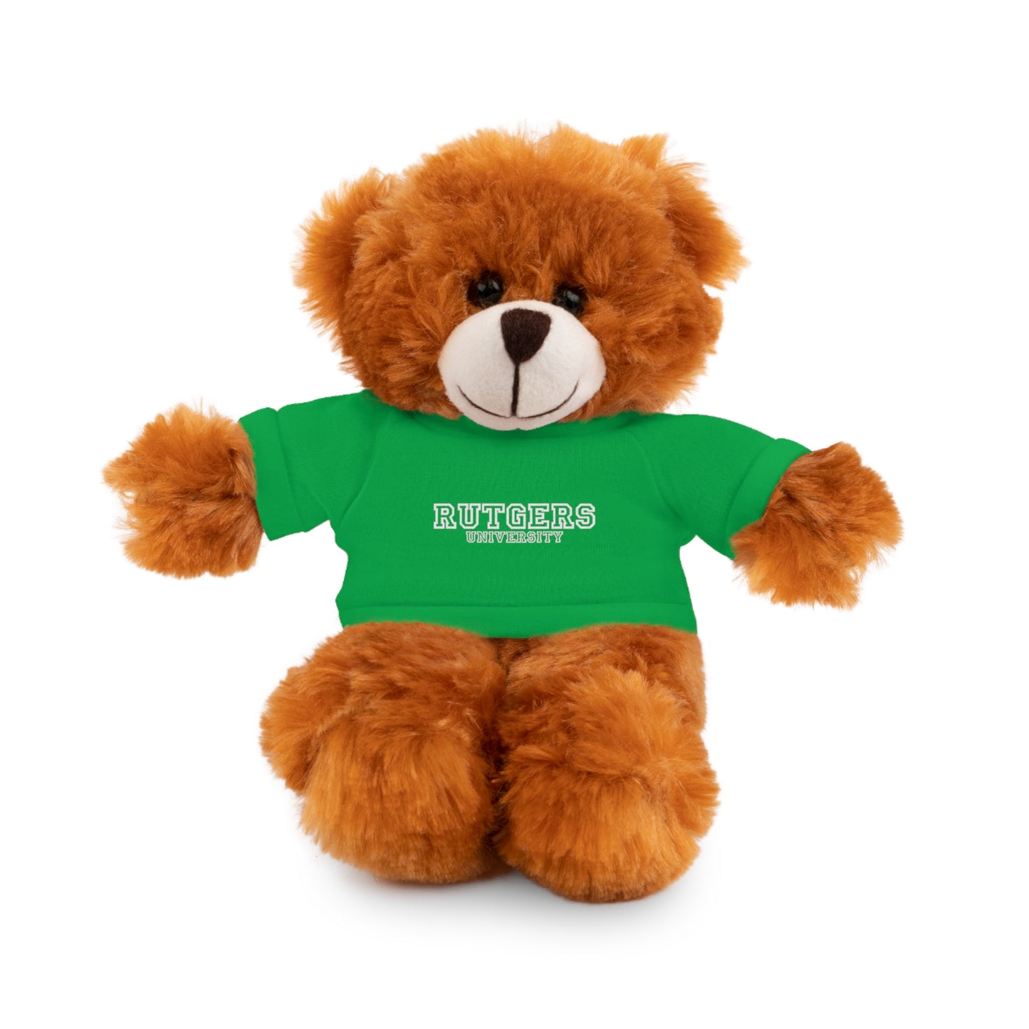 Custom College Teddy Bear | College Acceptance Gift | Custom College Gift | Bed Party Gifts | Graduation Gift | Custom Teddy Bear