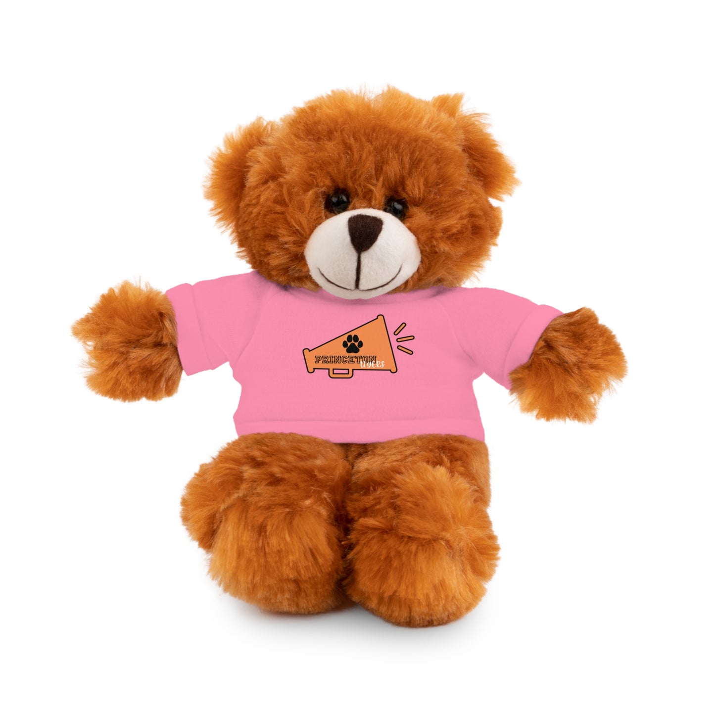 Custom College Teddy Bear | College Acceptance Gift | Custom College Gift | Bed Party Gifts | Graduation Gift | Custom Teddy Bear