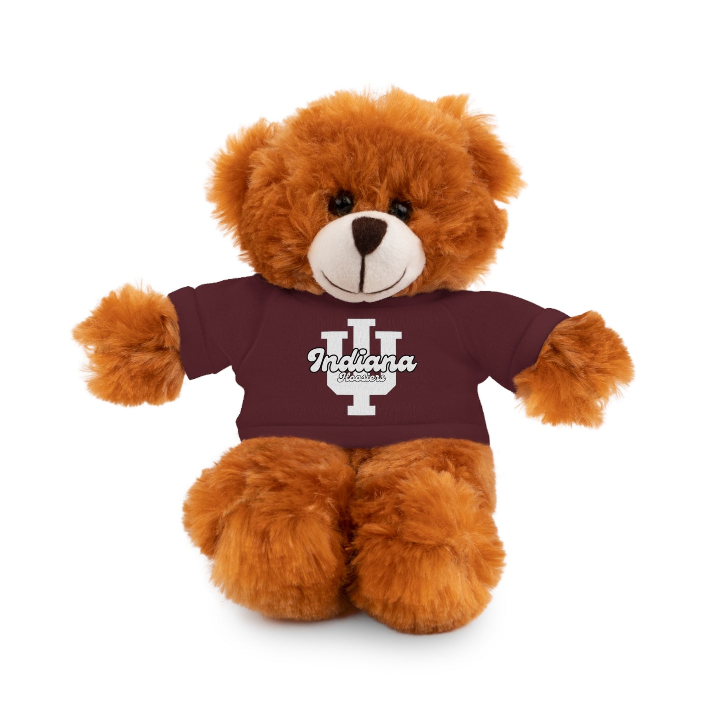Custom Teddy Bear | College Acceptance Gift | Custom College Gift | Bed Party Gifts | Graduation Gift | Custom Teddy Bear