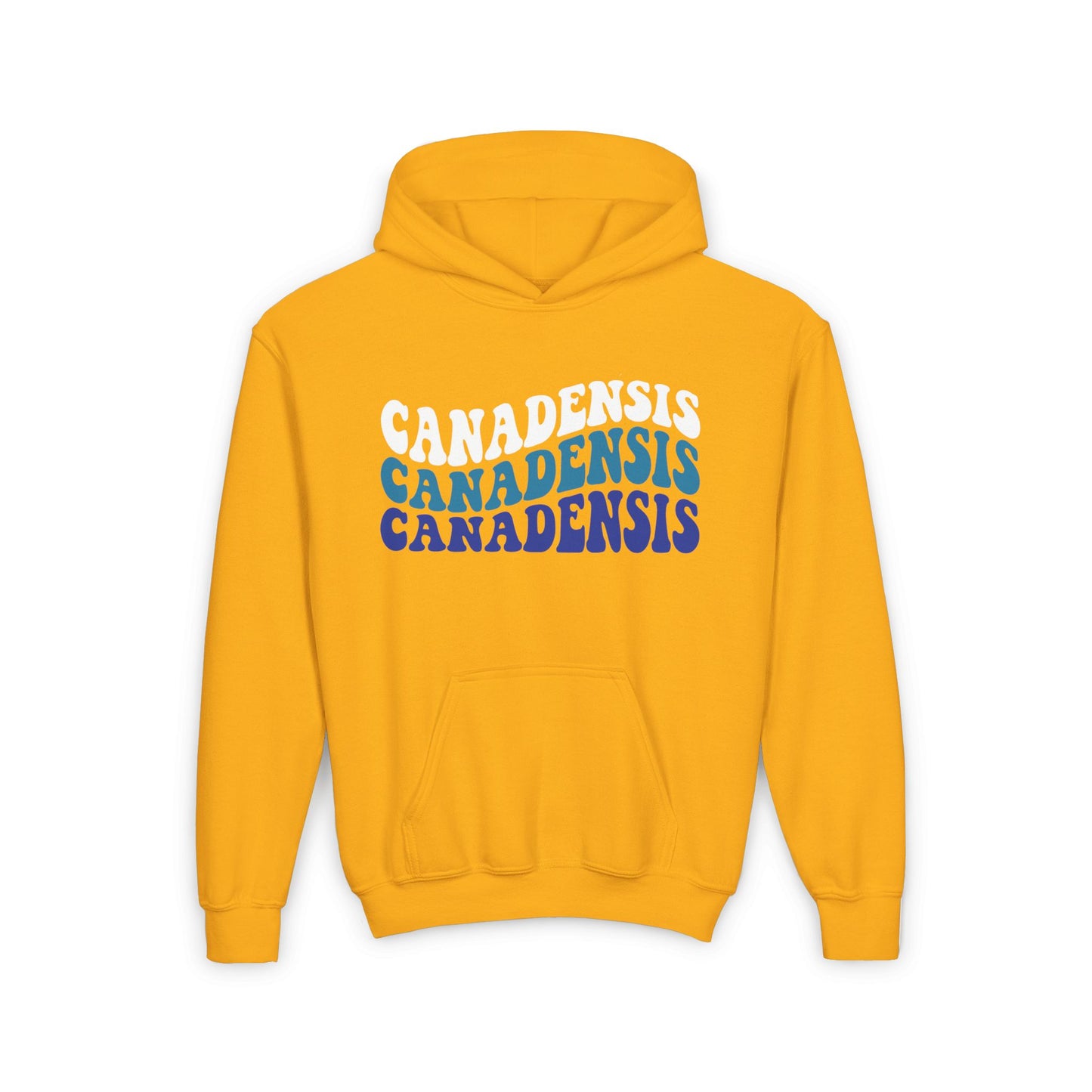 Retro Wavy Youth Custom Hooded Sweatshirt