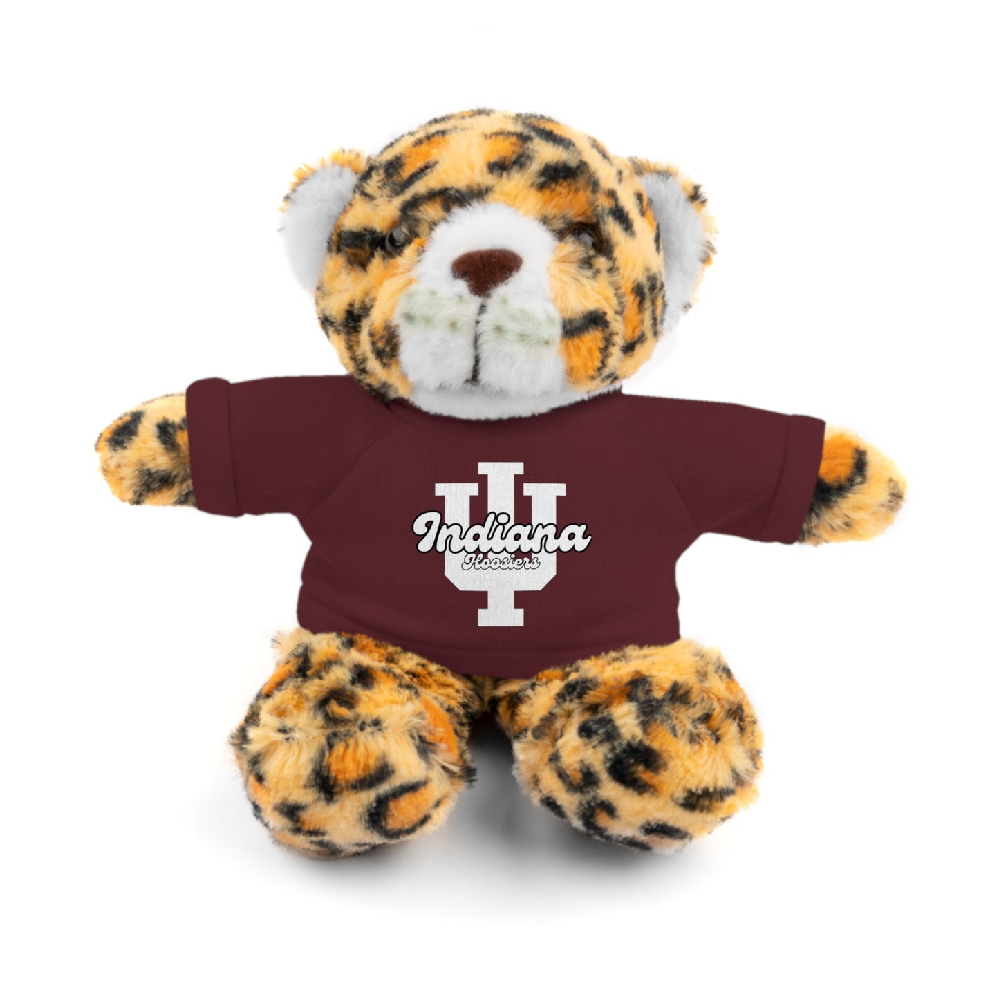 Custom Teddy Bear | College Acceptance Gift | Custom College Gift | Bed Party Gifts | Graduation Gift | Custom Teddy Bear