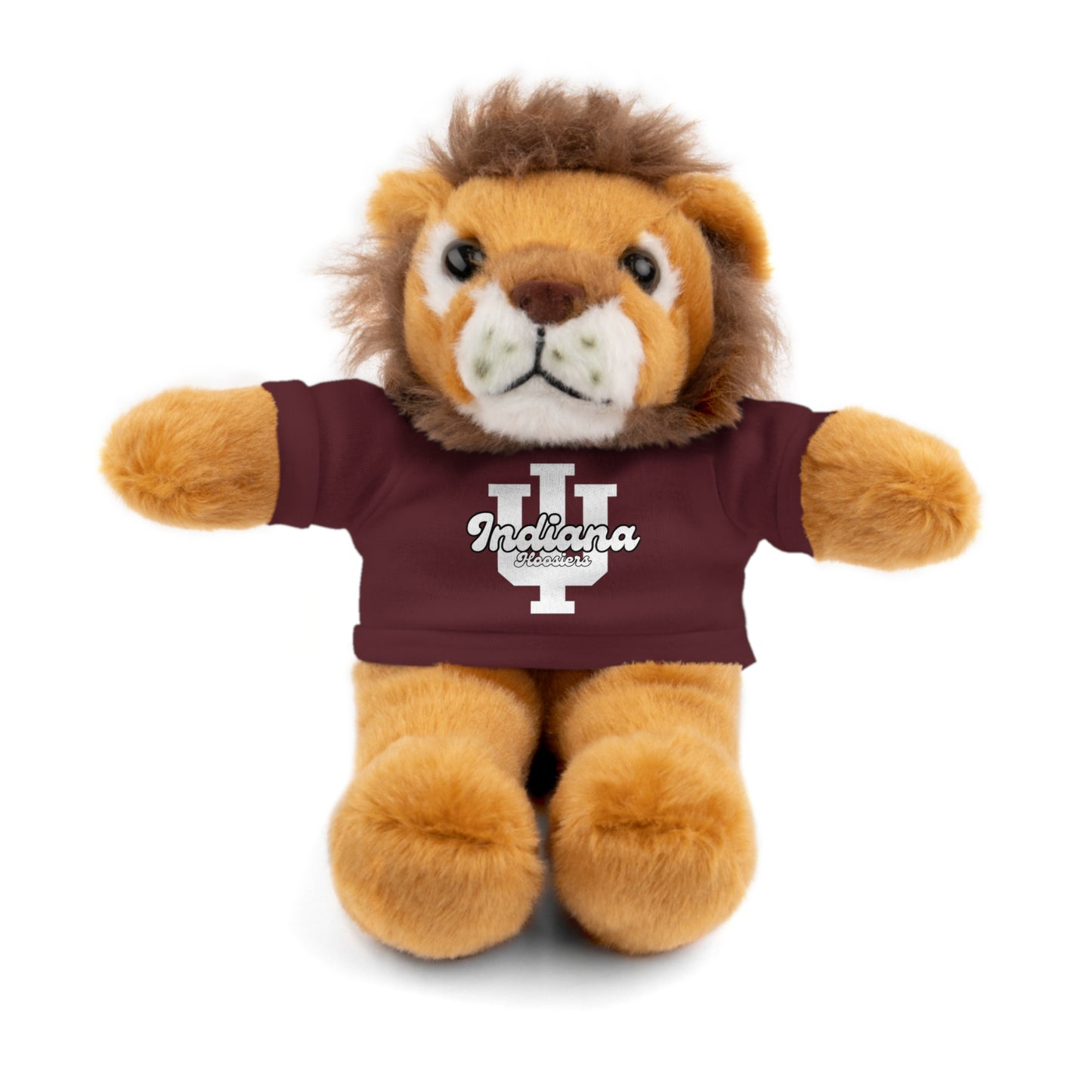 Custom College Teddy Bear | College Acceptance Gift | Custom College Gift | Bed Party Gifts | Graduation Gift | Custom Teddy Bear