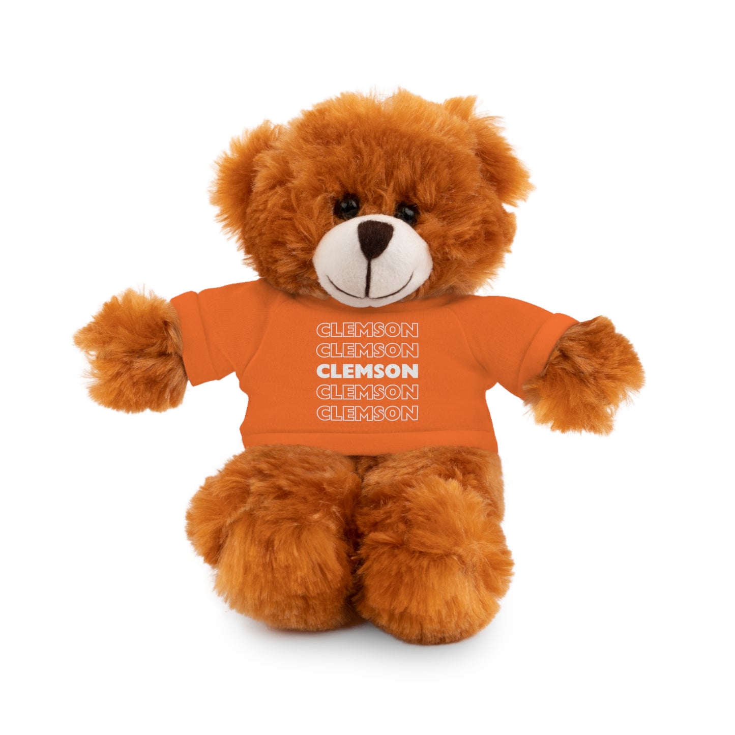 Custom Teddy Bear | College Acceptance Gift | Custom College Gift | Bed Party Gifts | Graduation Gift | Custom Teddy Bear