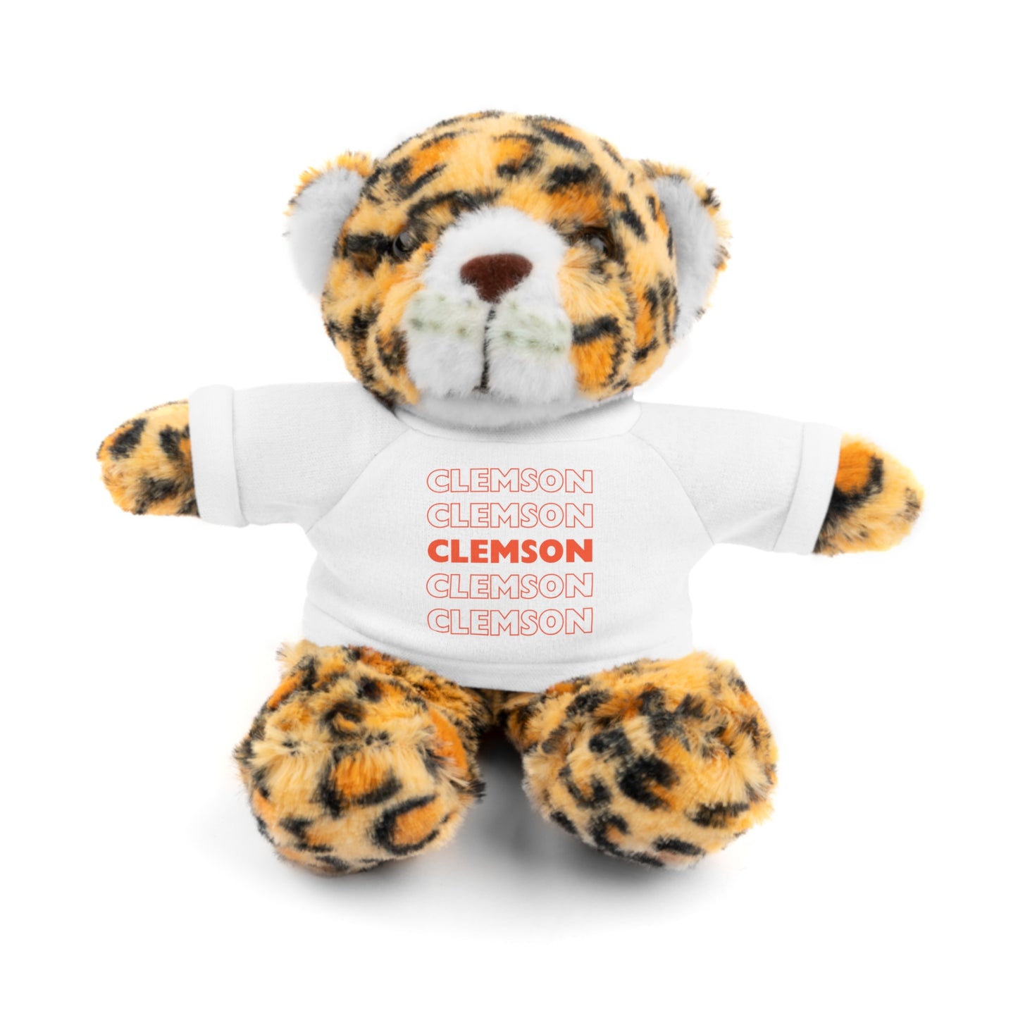 Custom Teddy Bear | College Acceptance Gift | Custom College Gift | Bed Party Gifts | Graduation Gift | Custom Teddy Bear