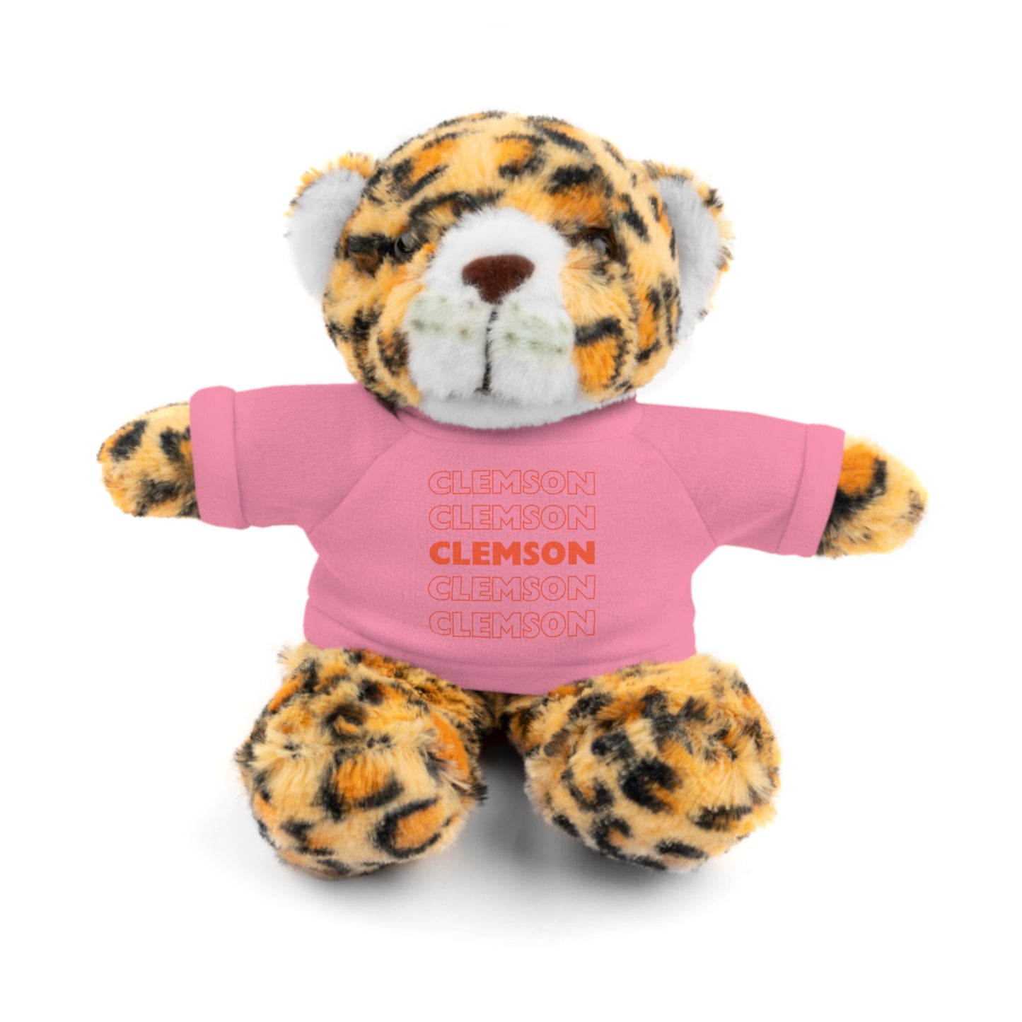 Custom Teddy Bear | College Acceptance Gift | Custom College Gift | Bed Party Gifts | Graduation Gift | Custom Teddy Bear